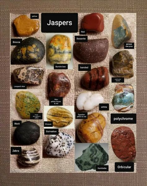 Rock Identification Pictures, Geology Rocks Mineral, Different Types Of Rocks, Raw Gemstones Rocks, Types Of Rocks, Rock Identification, Minerals Crystals Stones, Gemstones Chart, Rock Tumbling