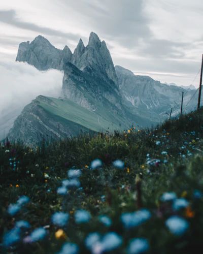 green mountains surrounded by white clouds photo – Free Nature Image on Unsplash Mountain Aesthetic, Cloud Photos, Green Mountains, Italian Alps, The Dolomites, South Tyrol, Before Sunrise, White Clouds, Green Mountain