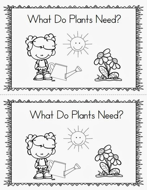 Preschool Plants, Plants Kindergarten, Plant Lessons, Plants Worksheets, Life Cycle Craft, Preschool Garden, Planting For Kids, Plants Unit, Spring Kindergarten