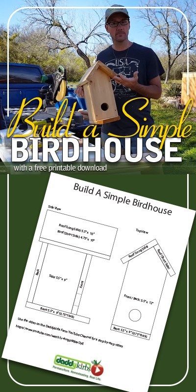 Diy Birdhouse Plans, Simple Birdhouse, Birdhouse Diy, Birdhouse Plans, How To Build Abs, Diy Birdhouse, House Wren, Birds House, Birdhouse Projects