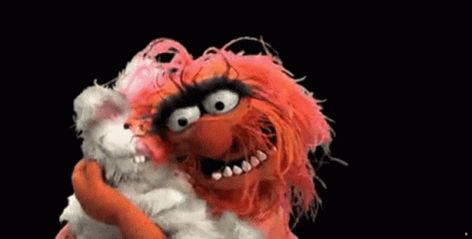 Animal Muppets GIF – Animal Muppets Bunny – GIFs entdecken und teilen Muppets Quotes, Animal Muppets, Animal Muppet, Die Muppets, Devil Dogs, Fraggle Rock, Muppet Babies, The Muppet Show, Power Animal