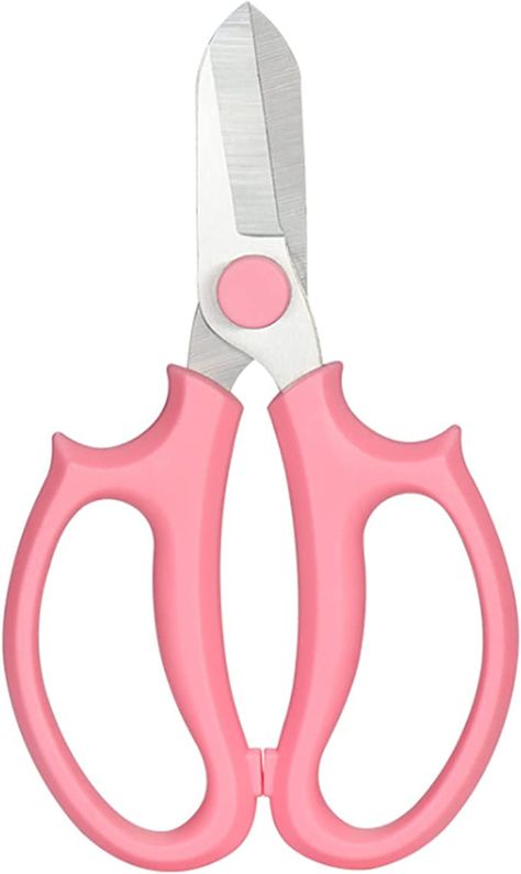 Scissors Hand, Pruning Shears, Flower Arrangement, My Flower, Flower Garden, Flower Arrangements, Free Delivery, Floral, Pink