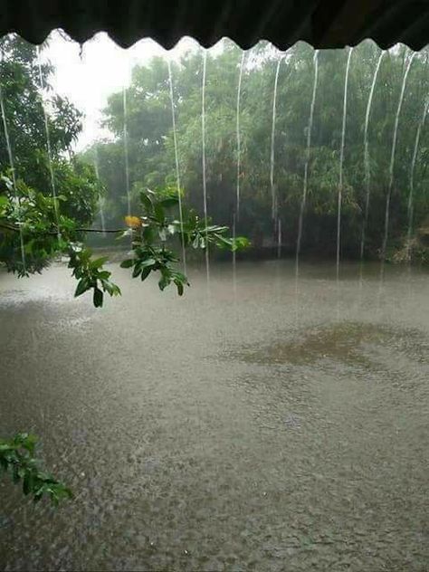 Rain love... Rain Lover, Kerala Beauty, Rain And Thunder Sounds, Relaxing Rain, Relaxing Rain Sounds, Beautiful Bangladesh, Advent Decorations, Sleep Insomnia, Kerala Travel