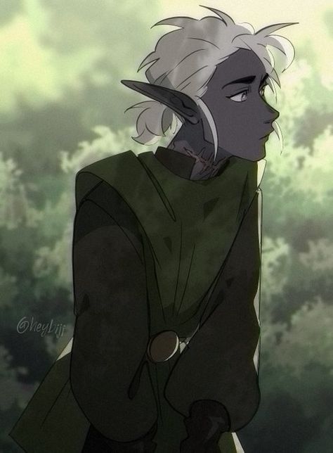 Drow Male, Dnd Elves, Elf Characters, Elf Art, Tip Jar, Character Collection, Dungeons And Dragons Characters, Dnd Art, Dark Elf