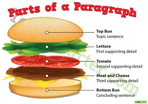 Parts of a paragraph Paragraph Anchor Chart, Parts Of A Paragraph, Vegan Sliders, Paragraph Structure, Teach English To Kids, Writing Forms, Writing Posters, Classroom Songs, 3rd Grade Writing