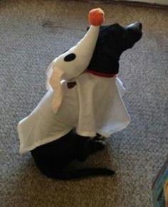 Zero From Nightmare Before Christmas, Dog And Owner Costumes, Diy Halloween Dekoration, Diy Dog Costumes, Costumes Diy, Pet Halloween Costumes, Dog Halloween Costumes, Pet Day, Fantasias Halloween