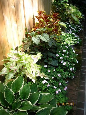 More ideas for west side shady flower bed - hostas, caladium, impatiens, coleus - all familiar and growable Shade Garden Design, Outdoor Patios, Garden Fun, Garden Vegetable, Dry Creek, Have Inspiration, Garden Yard Ideas, Garden Bed, Shade Plants