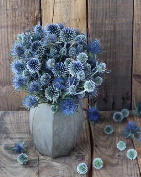 Blue Floral Arrangements Decor, Fall Winter Flower Arrangements, Winter Flower Decorations, Winter Floral Arrangements Diy, Winter Decor Wedding, Wedding Flowers Winter Bouquets, Blue Winter Wedding Flowers, Wedding Winter Decorations, January Wedding Florals