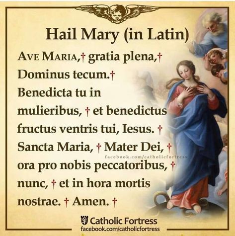 Hail Mary In Latin, Latin Prayers, Universal Prayer, Rosary Prayers Catholic, Hail Mary Prayer, Catholic Prayers Daily, Catholic Theology, Catholic Doctrine, Catholic Beliefs