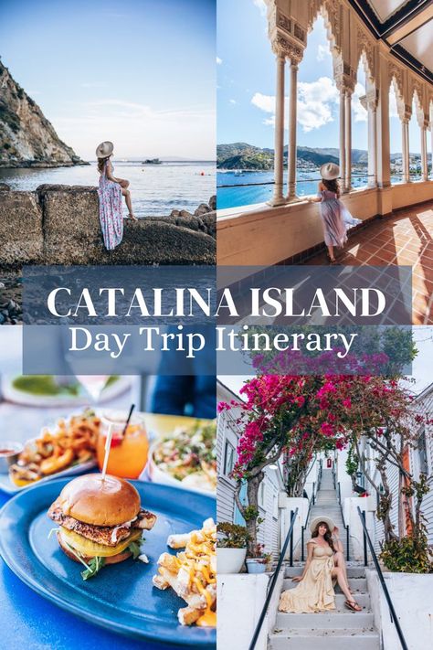 4 images that showcase a day trip itinerary of Catalina island in California Catalina Island Outfit, Ensenada Cruise, Catalina California, Avalon Catalina Island, Catalina Island California, Santa Catalina Island, East Coast Road Trip, Los Angeles Travel, One Day Trip