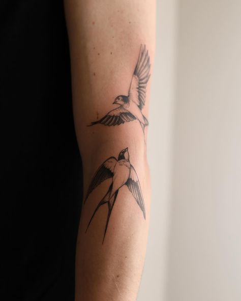 Maxime Dubbeld | Swallows for Max. Thanks for trusting me with your first tattoos🙏 I would love to tattoo more animals in this style, so if you have… | Instagram Swallow With Olive Branch Tattoo, Swallow Tattoo Arm Woman, Swallow Bird Tattoo Fine Line, Flying Swallow Tattoo, Bird Tattoo Arm Women, Swallow Tattoos For Women, Swallow Forearm Tattoo, Scissor Tailed Flycatcher Tattoo, Swallow Tattoo Arm