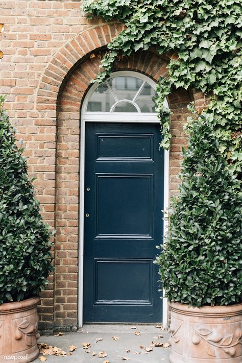 Blue front doors