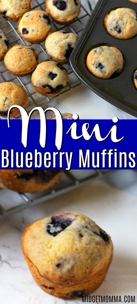 Bisquick Mini Muffins, Mini Breakfast Muffins, Mini Muffin Tin Recipes, Mini Blueberry Muffins, Mini Muffin Recipe, Toddler Muffins, Blueberry Muffins Recipe, Best Blueberry Muffins, Berry Muffins