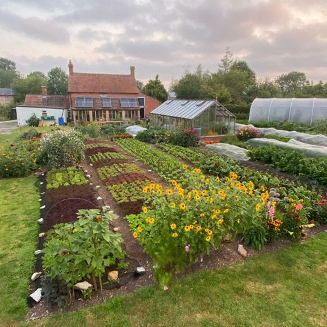 Idaho Garden, Allotment Plan, Charles Dowding, Two Jobs, Veg Garden, Garden Greenhouse, Tomato Plants, Food Garden, Community Gardening