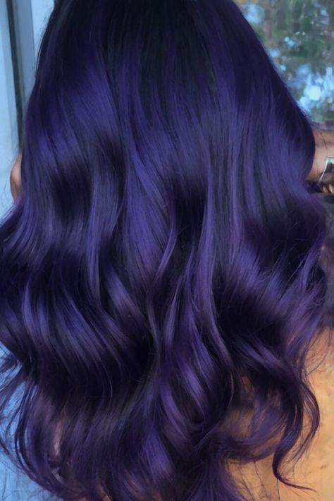 Blueberry Hair Color, All Around Layers, Blurple Hair, Midnight Purple Hair, Blueberry Hair, Purple Hair Color Ideas, Rock And Roll Bed, Purple Hair Color, Midnight Purple