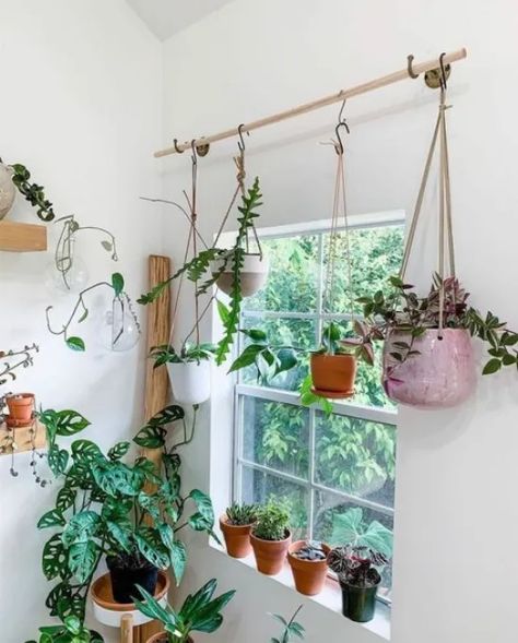 Cute Ways to Decorate and Display Your Favorite Houseplants - Society19 Vine Bedroom, Houseplant Inspiration, Indoor Forest, Hang Plants, Houseplants Decor, Massage Office, Plants Hanging, Monstera Adansonii, Window Planters