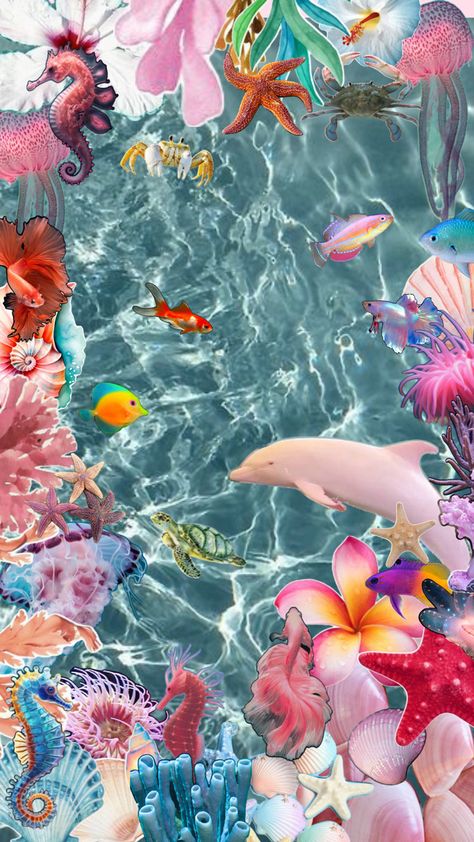 Colorful sea theme wallpaper collage perfect for summer 🪼🐠🐬 Sea Theme Wallpaper, Under The Sea Wallpaper, The Sea Wallpaper, Theme Wallpaper, Cute Summer Wallpapers, Sea Wallpaper, Wallpaper Collage, Sea Theme, Summer Wallpaper