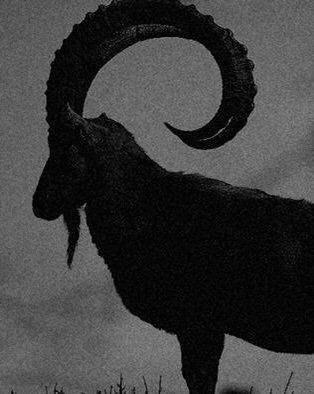 Elemental Invocation | Wiki | Pagans & Witches Amino Black Phillip, The Ram, A Goat, Occult Art, Witch Aesthetic, An Animal, Horror Art, Dark Fantasy Art, Dark Aesthetic