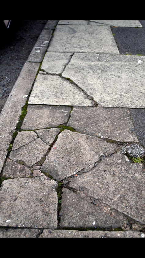 Pavement Aesthetic, Cracked Pavement, Cracked Sidewalk, Stair Art, College Photography, Stone Stairs, Creating Texture, Flower Stickers, Concrete Tiles