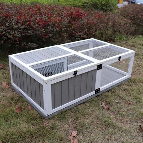 What Size Outdoor Enclosure for Gecko Cage, Turtle Cage, Cat Cages Indoor, Heated Outdoor Cat House, Large Hamster Cages, Turtle Enclosure, Tortoise House, Tortoise Enclosure, Tortoise Habitat