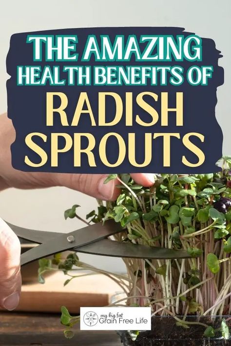 The Amazing Health Benefits of Eating Radish Sprouts Microgreens Benefits, Sprouts Benefits, Health Benefits Of Radishes, Radish Sprouts, Radish Greens, Root Vegetables, Cardiovascular Health, Improve Digestion, Digestive Health