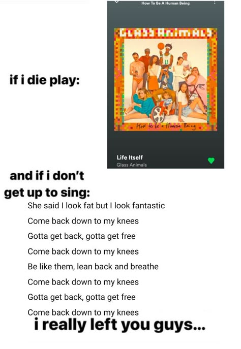 Life Itself Glass Animals, Glass Animals Lyrics, Dave Bayley, Glass Closet, Giving Up On Life, Life Itself, Lyrics Aesthetic, Band Memes, Music Mood