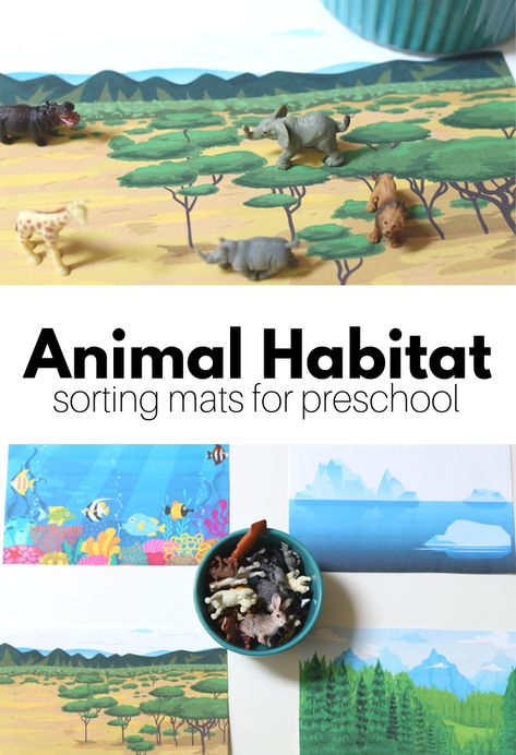 Animal Habitats Sorting Mats: Where do animals live? This habitat activity for preschool is a fun way to talk to your students about where animals live. You can use these free printables as mats at a science center or on a magnet board. Habitats Activities, Habitats Preschool, Animal Habitats Preschool, Aba Materials, Preschool Camping, Habitat Activities, Easter Activities For Preschool, Preschool Ocean, Spring Math Activities