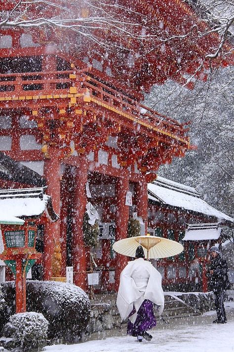 When we lived there for 9 yrs it snowed some but not a lot at once.  During the rainy season it really rains constantly for over a month at a time. Winter In Japan, Ko Samui, Japan Photography, Winter Szenen, Art Japonais, Angkor Wat, Maneki Neko, Kyoto Japan, Hiroshima