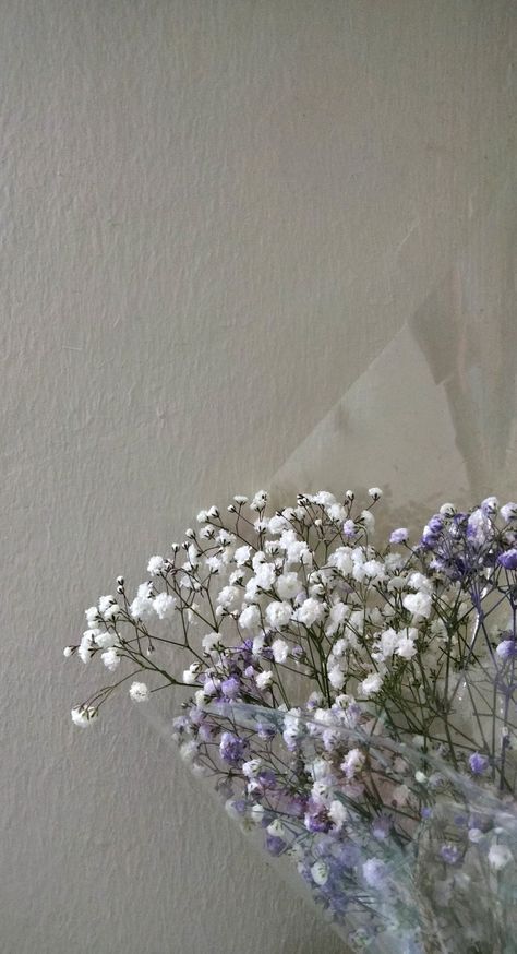 🎂♡ Baby Breath Wallpaper, Purple Baby Breath, Flowers Baby Breath, Baby Breath Flower, Baby's Breath Bouquet, Bouquet Wallpaper, Baby Breath, Purple Baby, Baby's Breath