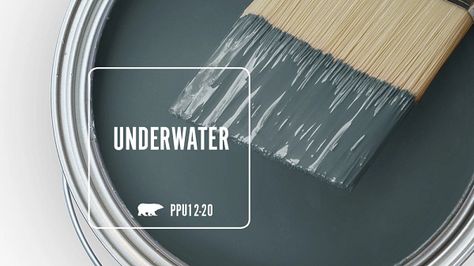 PPU12-20 UNDERWATER | Behr Paint Colors Bathroom Colors Behr, Behr Shipwreck Paint Color, Behr Paint Colors Grey Bathroom, Behr Undersea, Behr Bedroom Paint Colors, Behr Underwater, Ocean Paint Color Behr, Bedroom Paint Colors Behr, Oceanic Climate Behr Paint