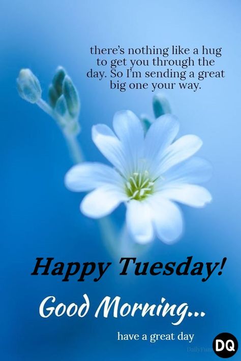 Happy Tuesday images quotes good morning quotes Happy Tuesday Morning Quotes, Good Tuesday Morning Funny, Good Morning Happy Tuesday Blessings, Good Tuesday Morning Inspiration, Blessed Tuesday Mornings, Tuesday Greetings Good Morning, Happy Tuesday Morning Blessings, Good Tuesday Morning Quotes, Tuesday Good Morning Wishes