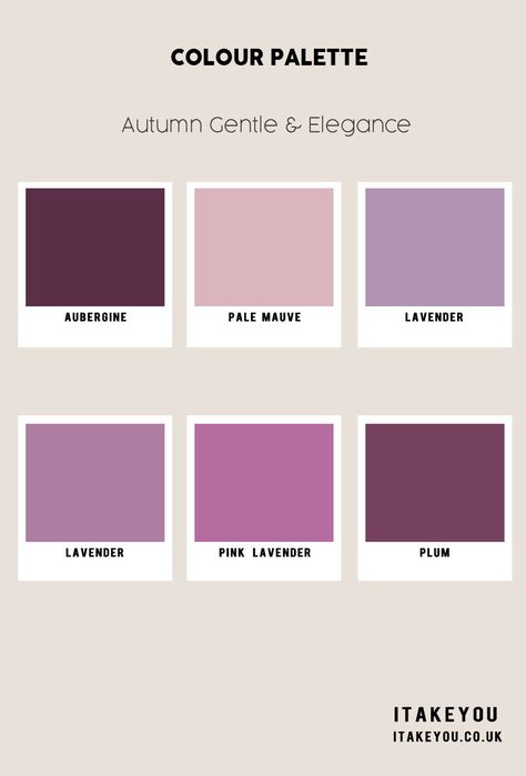 soft purple color scheme, Autumn Colour Scheme, Autumn Colour Trends 2023, Fall Color Palette, autumn colours, Autumn Colours 2023, soft autumn colour palette Aubergine Outfit Color Combos, Autumn Brand Color Palette, Soft Autumn Purple, Fall Colour Palette, Colours 2023, Colour Scheme Ideas, Palette Autumn, Lavender Shades, Feminine Things