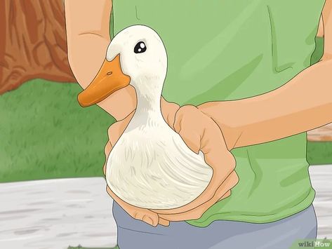 How to Train Ducks: 12 Taming Tips and Tricks Toys For Ducks Diy, Duck Feeder Ideas, Pet Ducks Outdoor, Duck Pen Ideas Diy Simple, Duck Coop Ideas Diy, Diy Duck Waterer, Duck Run Ideas, Duck Pen Ideas, Raising Ducks For Beginners