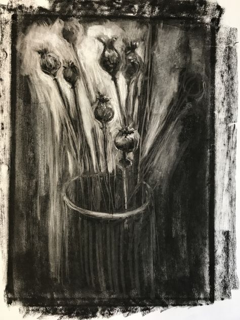 Charcoal reductive Drawing by Fiona Carvell Poppy seeds Poppy Seed Drawing, Reductive Drawing, Tonal Drawing, Charcoal Sketches, Value Drawing, Charcoal Drawings, Charcoal Sketch, Charcoal Art, Chalk Drawings