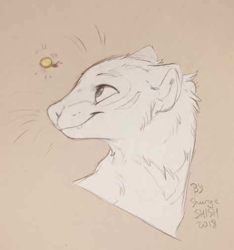 Cute Ferrets, Mythical Creatures Art, Wow Art, Animal Sketches, Art Poses, Cute Animal Drawings, Drawing Base, A Drawing, Ferret