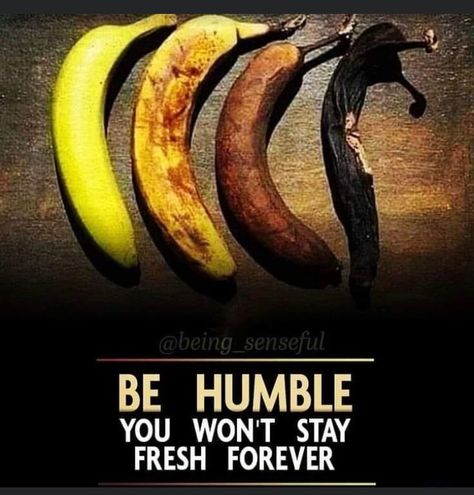 Motivational Pictures With Deep Meaning, Inspirational Smile Quotes, Funny Status Quotes, Life Choices Quotes, Reality Of Life Quotes, Powerful Inspirational Quotes, Strong Mind Quotes, Be Humble, Unique Quotes