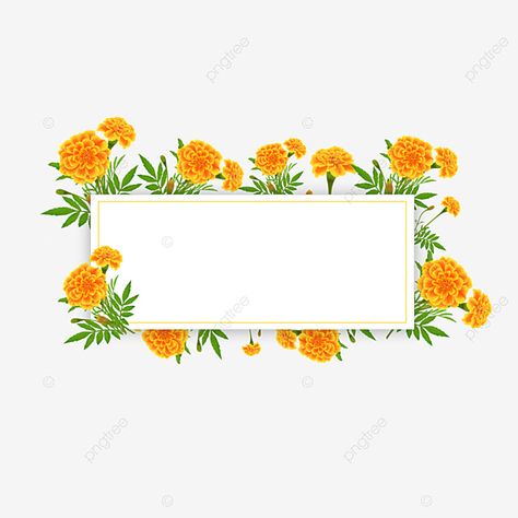 Flower Border Png, Flower Png Images, Border Png, Rose Background, Marigold Flower, Decorative Borders, Flower Lights, Wedding Background, Flower Border