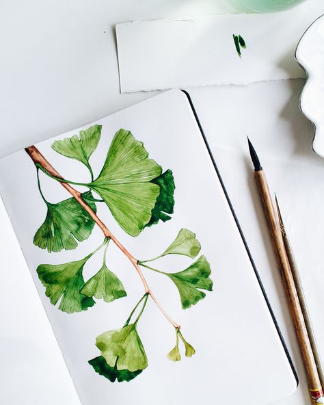 Watercolor Plants Botanical Illustration, Ginkgo Art, Botanical Watercolor Painting, Watercolor Notebook, Plant Drawings, Plant Artwork, Botanical Journal, Plant Illustrations, Gingko Biloba