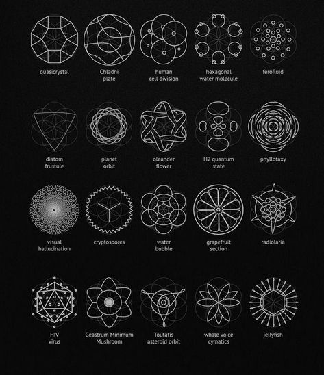 Sacred Geometry. source: chaosophia218 Esoteric Symbols Sacred Geometry, Occult Design, Science Inspiration, Environmental Architecture, Geometry Symbols, Flower Of Life Pattern, Esoteric Symbols, Geometry In Nature, Sacred Geometry Patterns