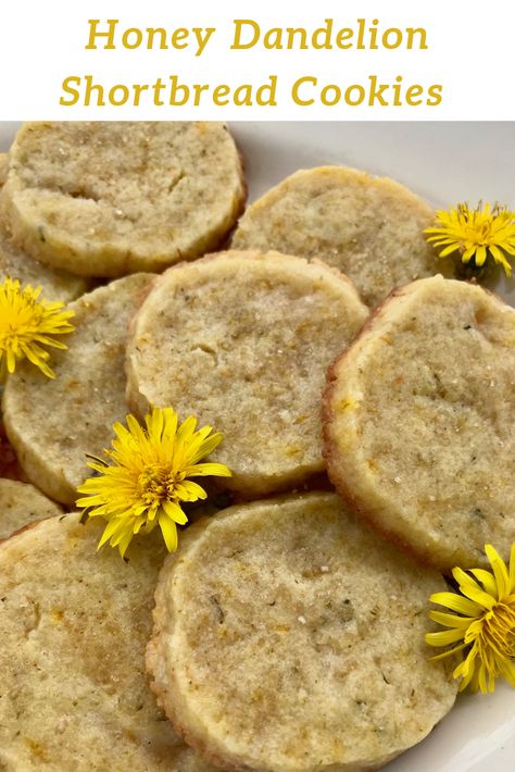 Homesteading Recipes, Cookies Png, Kitchen Witch Recipes, Foraging Recipes, Foraged Food, Dandelion Recipes, Wild Food, Yummy Desserts, Shortbread Cookies