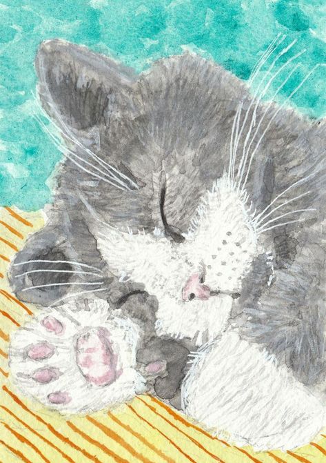 Gray And White Kitten, Tuxedo Cat Art, Grey And White Kitten, Grey And White Cat, Cat Watercolor, Bengal Kitten, White Kitten, What Cat, White Kittens