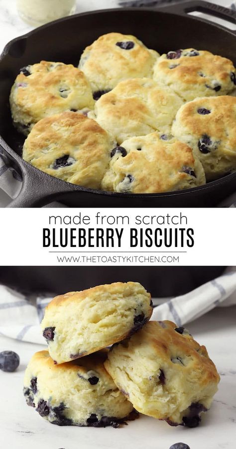 Blueberry biscuits recipe by The Toasty Kitchen. Blueberry biscuits are tender, buttery, and filled with juicy fresh blueberries. Made with simple pantry ingredients, these homemade biscuits make the perfect breakfast or dessert treat. #blueberrybiscuits #buttermilkbiscuits #biscuits #homemade #breakfast #blueberries #spring #summer #dessert #butterybiscuits #recipe Blueberry Biscuits Recipe, Biscuits Homemade, Blueberry Biscuits, Homemade Biscuits Recipe, Easy Biscuit Recipe, Simple Pantry, Blueberry Breakfast, Blueberry Desserts, Biscuits Easy