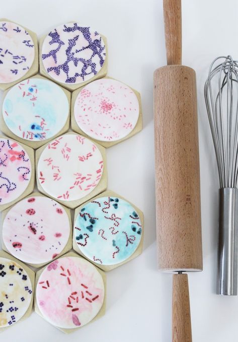 Microbiology themed cookies, views from the microscope! #biology #bacteriacookies #cookies #science #microbiology #baking #sugarcookies #ediblepaint Biology Themed Desserts, Science Baking Ideas, Biology Themed Cakes, Biology Party Decorations, Biology Grad Party, Biology Themed Party, Microbiology Cookies, Biology Cake Ideas, Biology Graduation Party