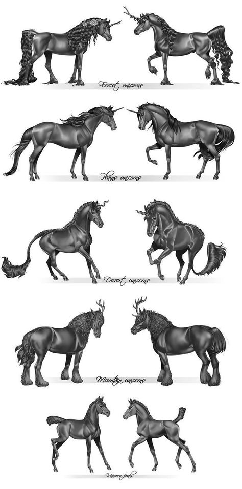 Unicorn Anatomy, Draw A Horse, Magical Horses, Horse Tail, Fantasy Horses, Horse Drawings, Mythical Creatures Art, Wow Art, Mythological Creatures