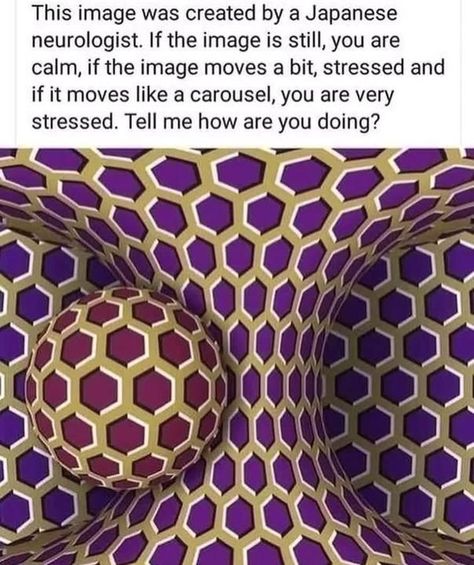 Asethic Pictures, Image Illusion, Math Quotes, Study Strategies, Cool Illusions, Funny Mind Tricks, Cool Optical Illusions, Easy Meditation, Mind Tricks