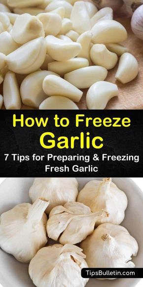 Freezing Garlic, Freezing Food Guide, Freezing Fresh Herbs, Freezing Vegetables, Freezing Fruit, Garlic Puree, Freezer Meal Prep, Toasted Bread, Olive Oils