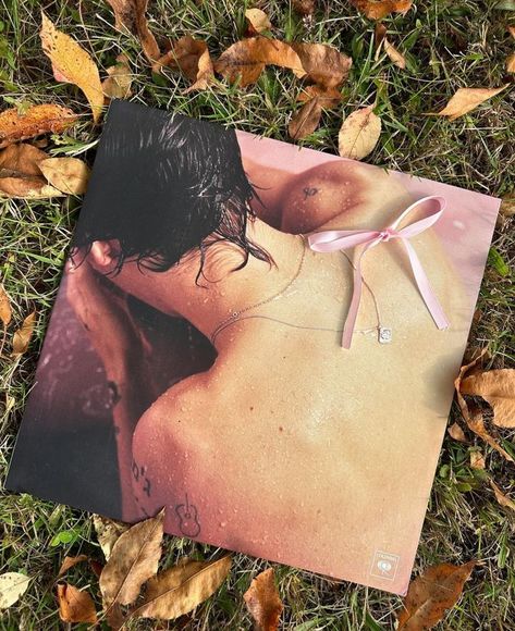 Harry Styles Autumn, Harry Styles Vinyl, Bob Marley Poster, Harry Styles Aesthetic, Preppy Fall, Harry Styles Pictures, Harry Styles Photos, Mr Style, Music Aesthetic