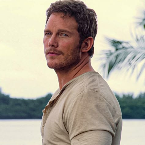 Owen Grady Jurassic World, Jurassic World Wallpaper, Owen Grady, Actor Chris Pratt, Jurassic Park Movie, World Icon, Film Icon, Online Comics, Jurassic Park World