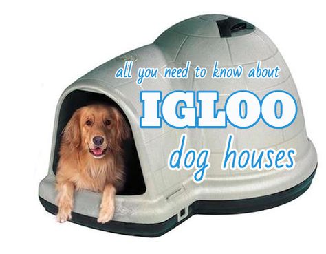 Igloo Dog Houses 101 Dog Igloo Makeover, Dog Igloo Ideas House, Diy Insulated Dog House Winter, Diy Insulated Dog House, Insulated Dog House Winter, Heated Dog House, Dog Walking Quotes, Dog House Outdoor Insulated, Dog Igloo