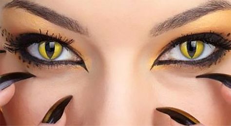 Cat Eye Aesthetic, Cat Eye Contacts, Crazy Eye Makeup, Eyes Contact, Costume Contact Lenses, Colored Eye Contacts, Prescription Colored Contacts, Eye Contacts, Vampire Pictures